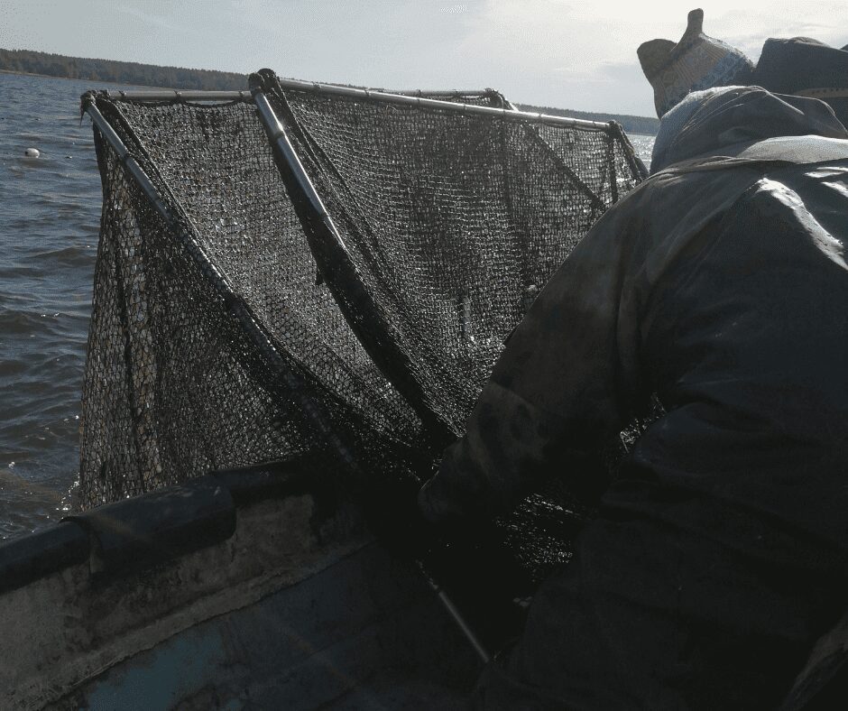 Рыбак